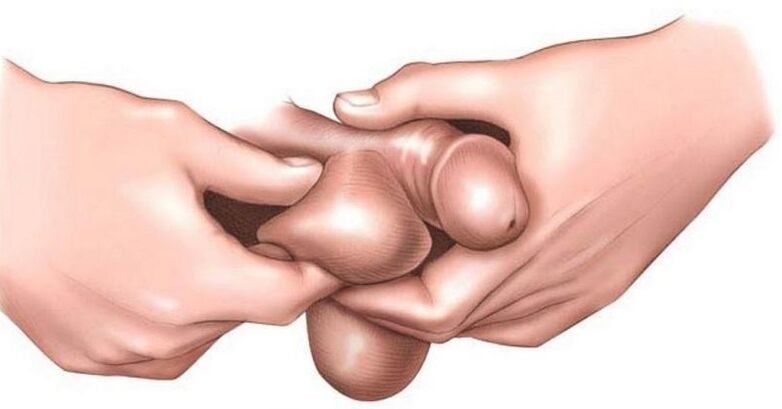 Porque los huevos que pica en los hombres